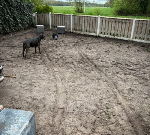 514325189 10091806560938729 8084713990887415652 n 2