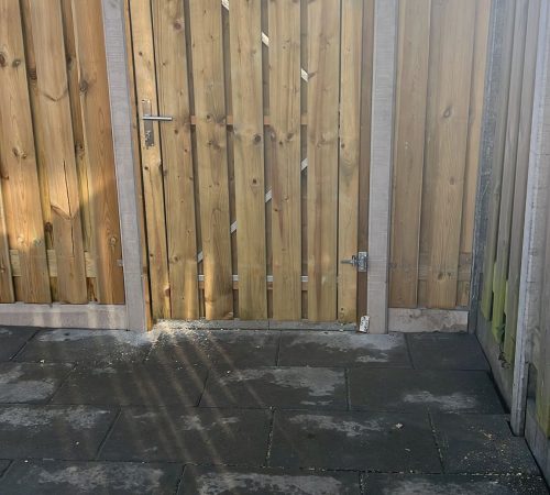 515502807 122133515408901287 5688005028215364221 n