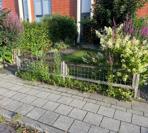 522625909 122119988474901287 3905887873583107139 n