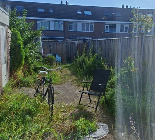 548898732 122133515396901287 437478386820730683 n