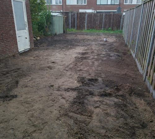 550095569 122133515468901287 3074299493832354237 n