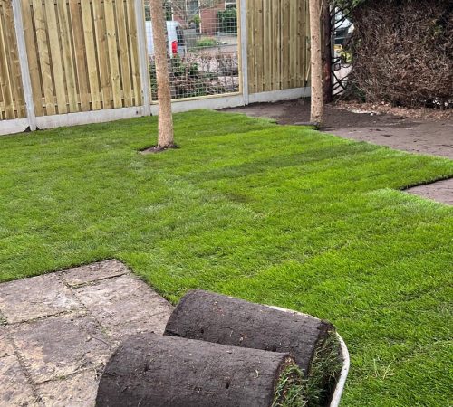 whatsapp image 2025 12 06 at 18.40.46